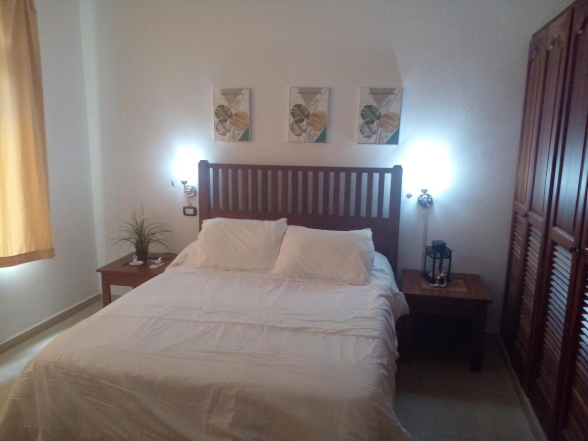 Apartamentos Y Habitaciones Sol Dominicus Solo Adultos La Laguna Exteriör bild