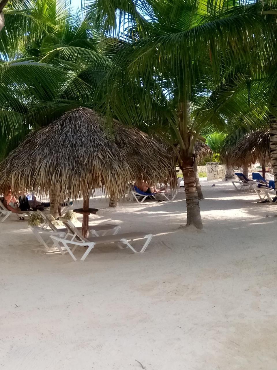 Apartamentos Y Habitaciones Sol Dominicus Solo Adultos La Laguna Exteriör bild